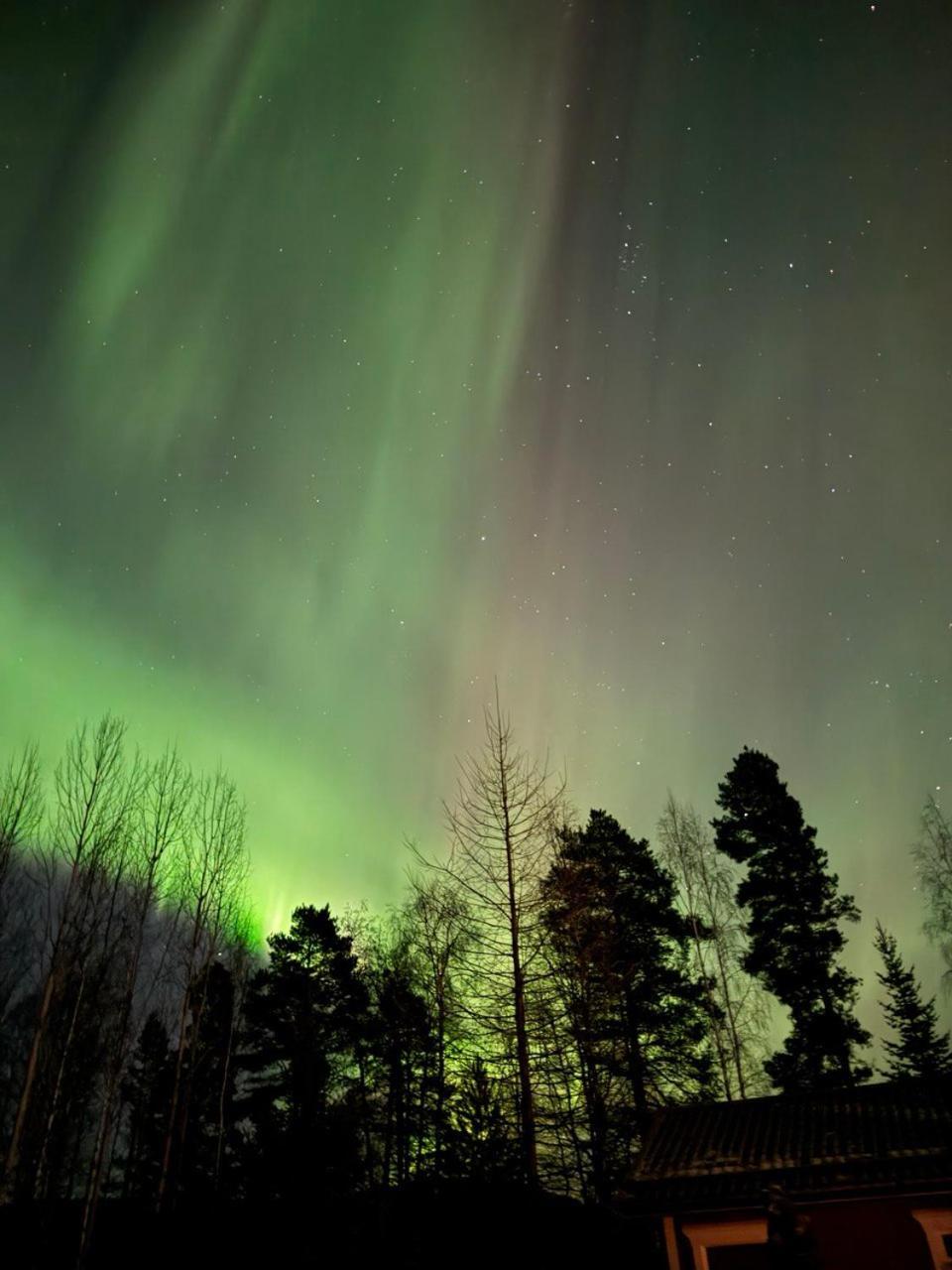 Lossisaari Tourist Center Keitele Exteriér fotografie
